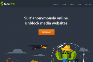 Cactus VPN VPN Providers